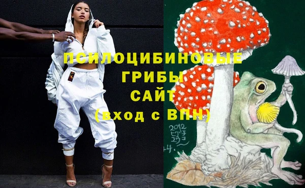 МДМА Бородино