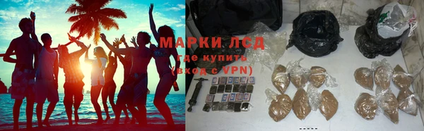 сатива Бронницы