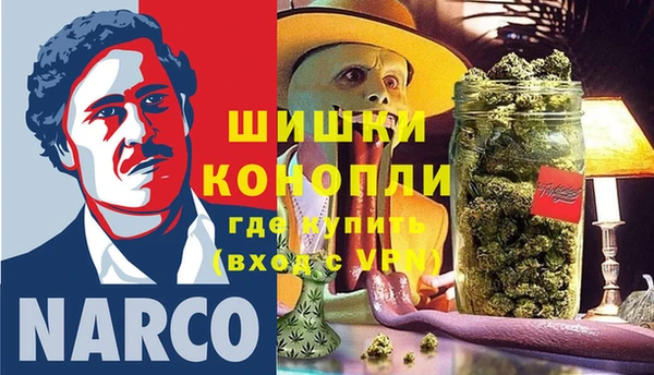 сатива Бронницы