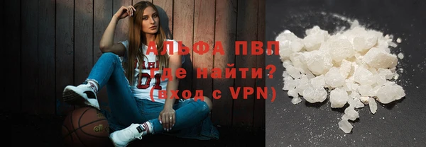 сатива Бронницы