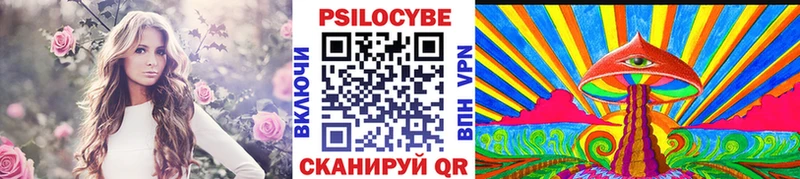 Галлюциногенные грибы Cubensis  кракен как зайти  Минеральные Воды 